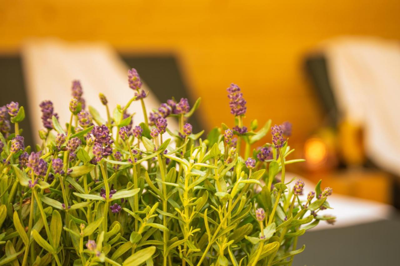 Wellnessoase Mitten In Triberg Triberg im Schwarzwald Buitenkant foto